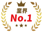 実績No.1